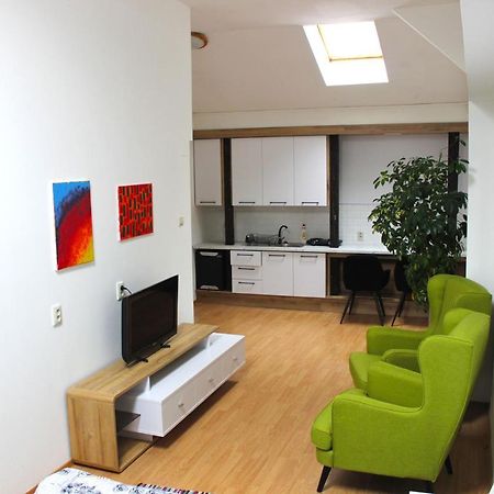 Krasny Priestranny Slnecny Apartman V Centre Mesta Trencin Ngoại thất bức ảnh
