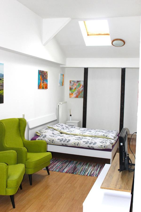 Krasny Priestranny Slnecny Apartman V Centre Mesta Trencin Ngoại thất bức ảnh